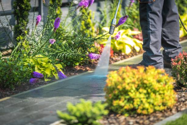 Best Parking Lot and Garage Cleaning  in Presidio, TX