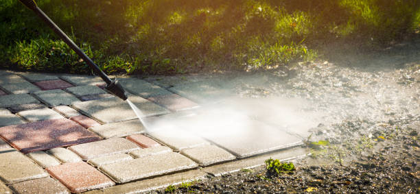 Solar Panel Cleaning in Presidio, TX